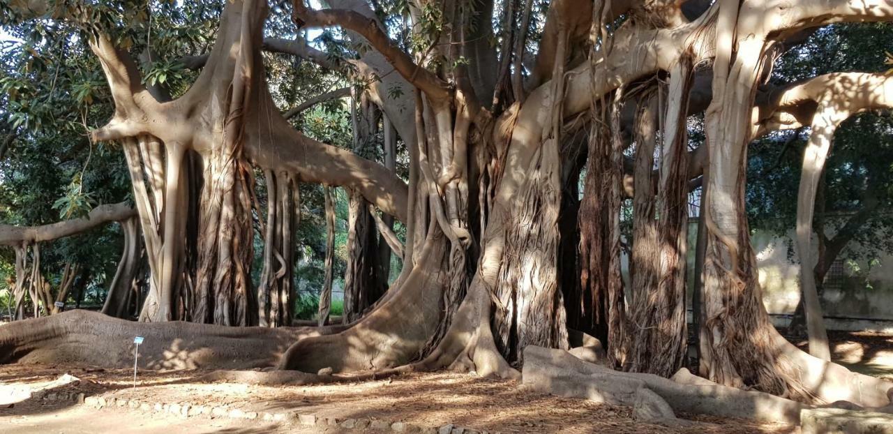 Casa Albergheria Παλέρμο Εξωτερικό φωτογραφία